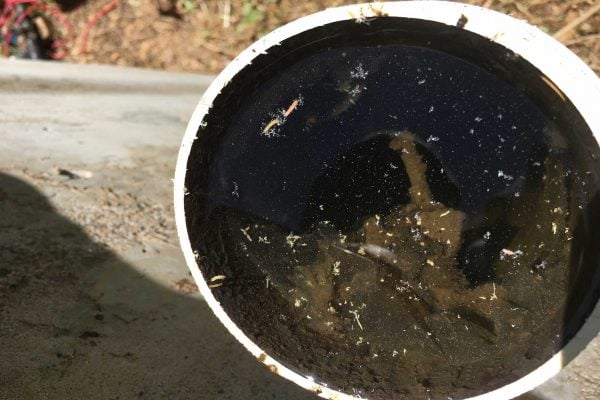 Filthy-Wet-System-Pipe-2048x1365-72dpi-low