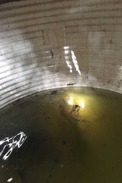 Filthy-rainwater-tank-picture-1365x2048-72dpi-low