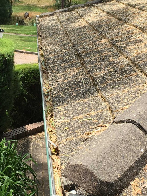 Leaf-and-pollen-covered-roof---Tannin-1365x2048-72dpi-low Leaf-and-pollen-covered-roof---Tannin-1365x2048-72dpi-low