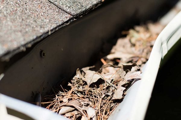 unsafe_gutter-debris_filtatank-low