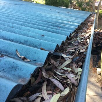Dirty-Leaf-Filled-Gutters Dirty-Leaf-Filled-Gutters